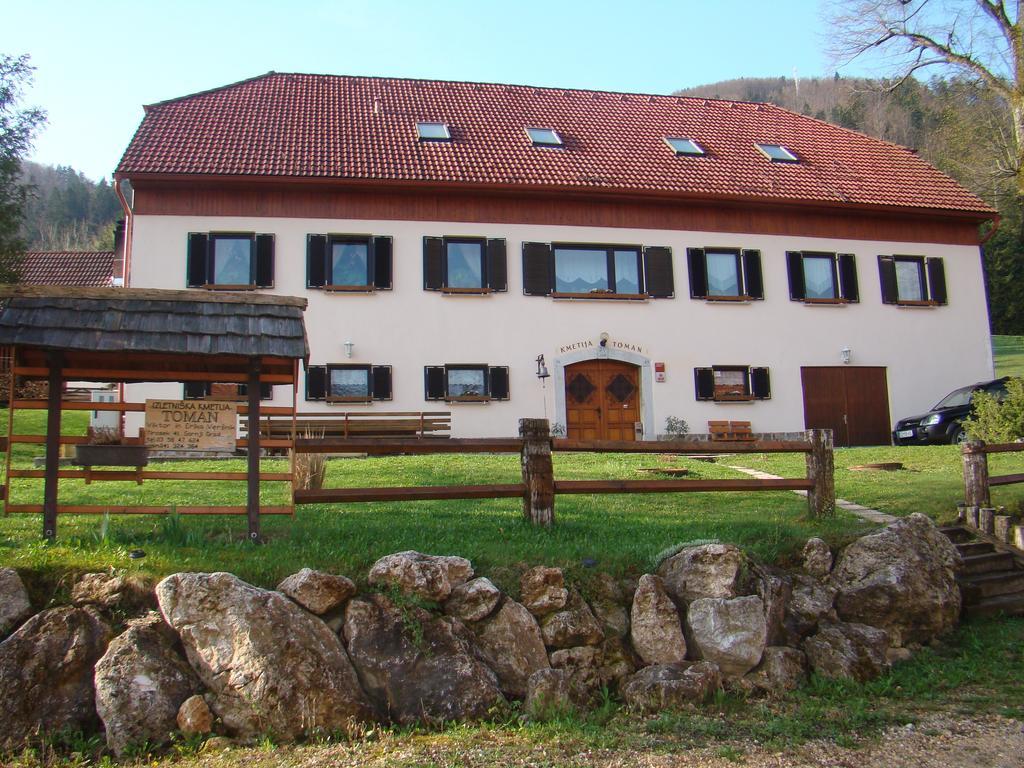 Turisticna Kmetija Toman Villa Gornji Grad Exterior photo
