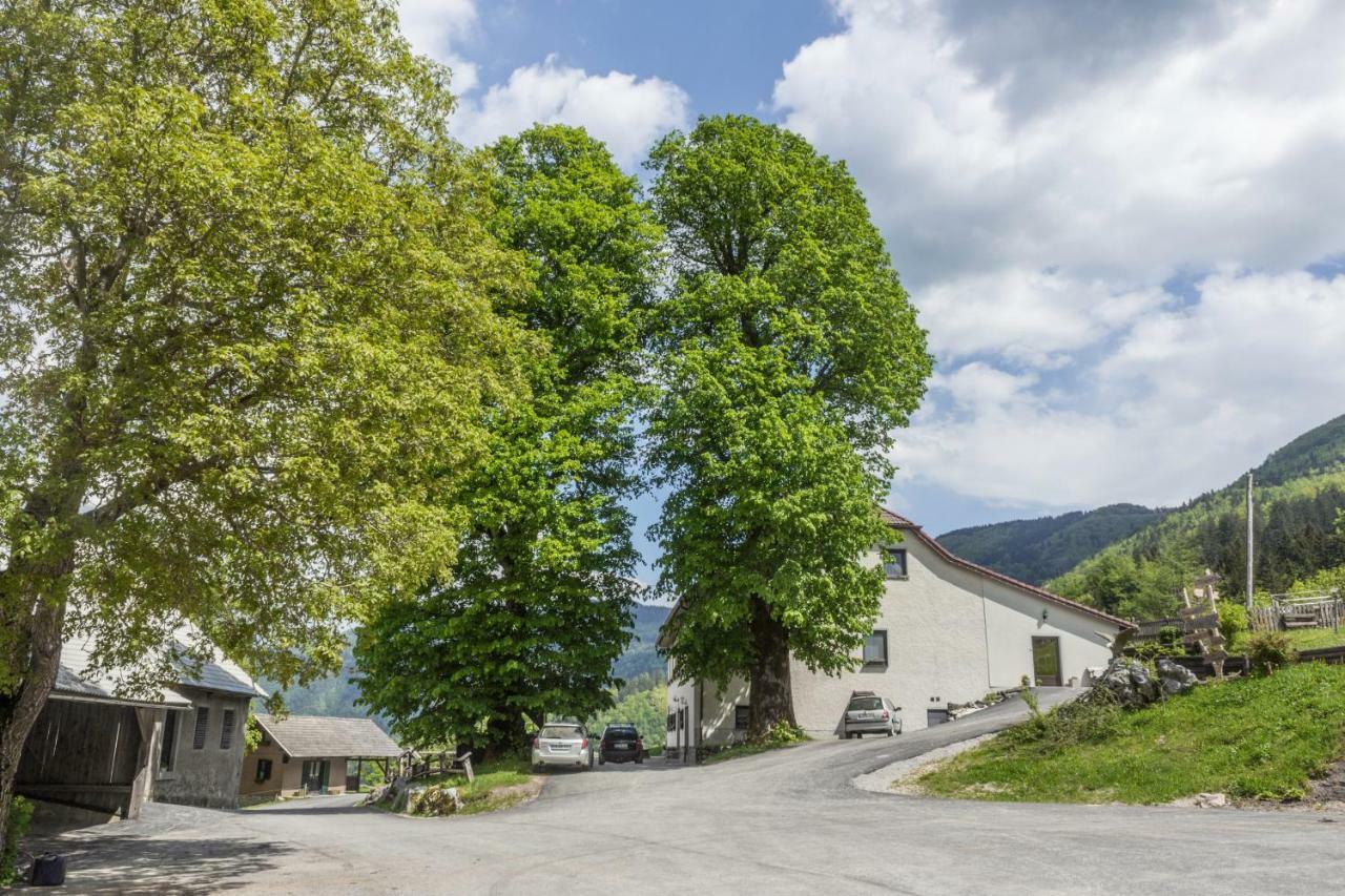 Turisticna Kmetija Toman Villa Gornji Grad Exterior photo